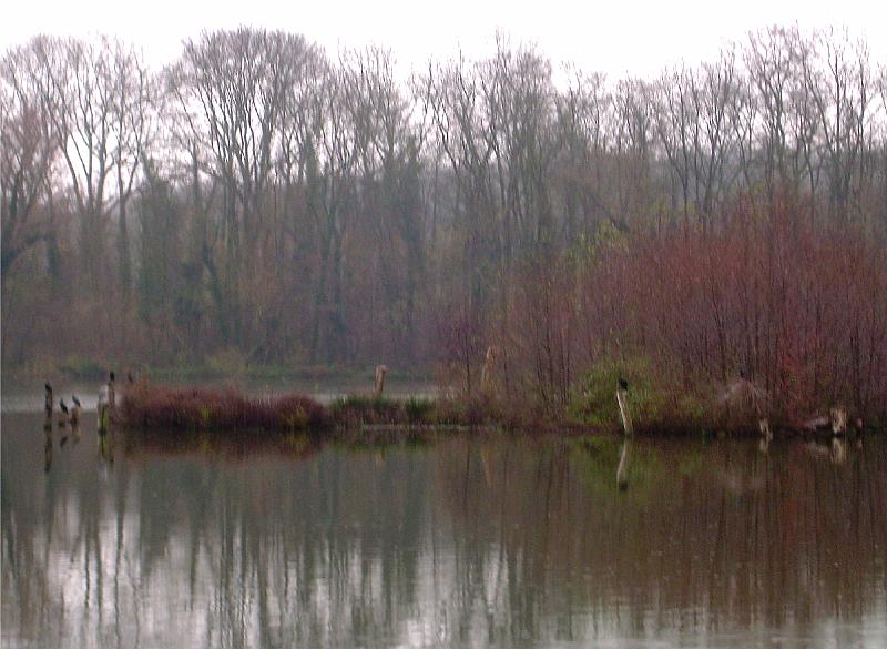 DSCN3507.JPG