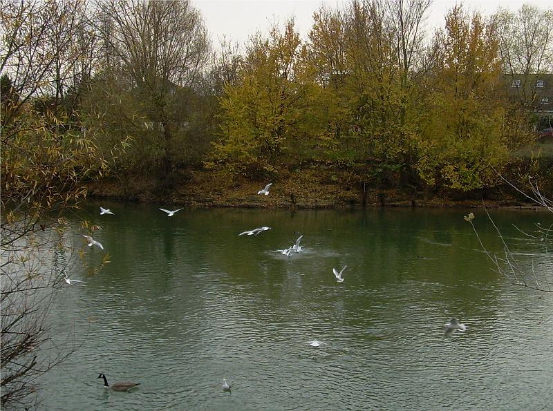 DSCN3476.JPG