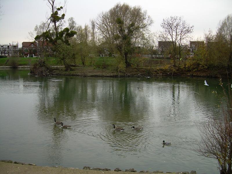 DSCN3477.JPG
