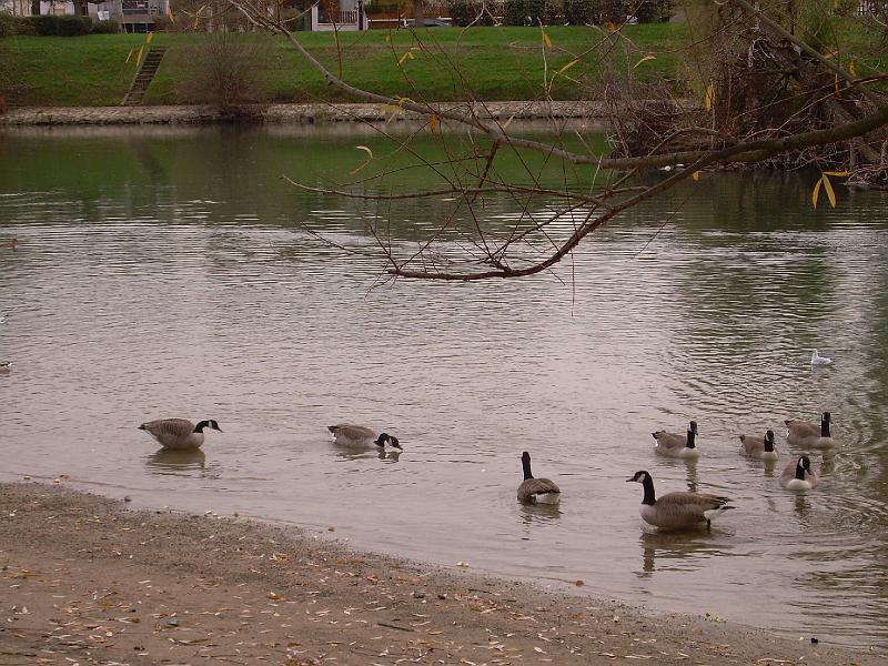 DSCN3479.JPG