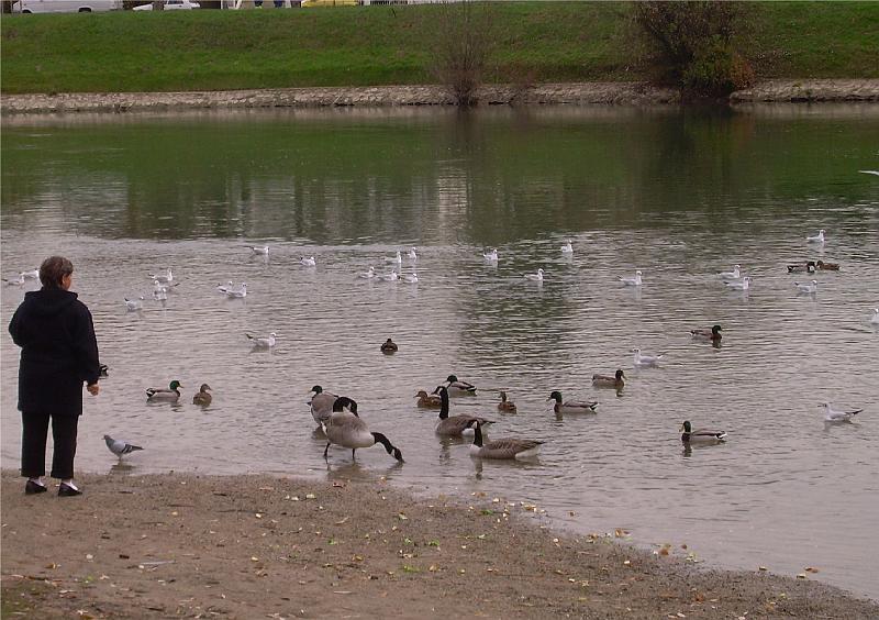 DSCN3480.JPG