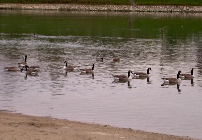 DSCN3485.JPG