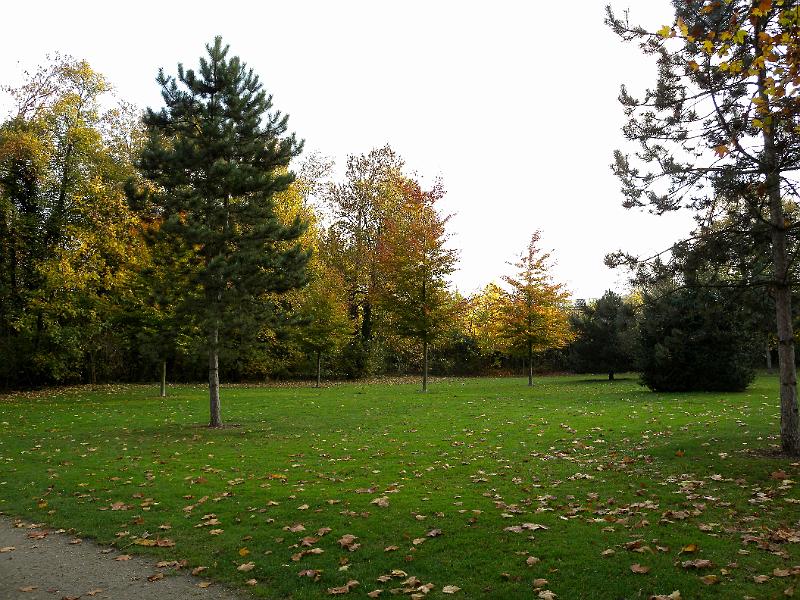 DSCN7116.JPG