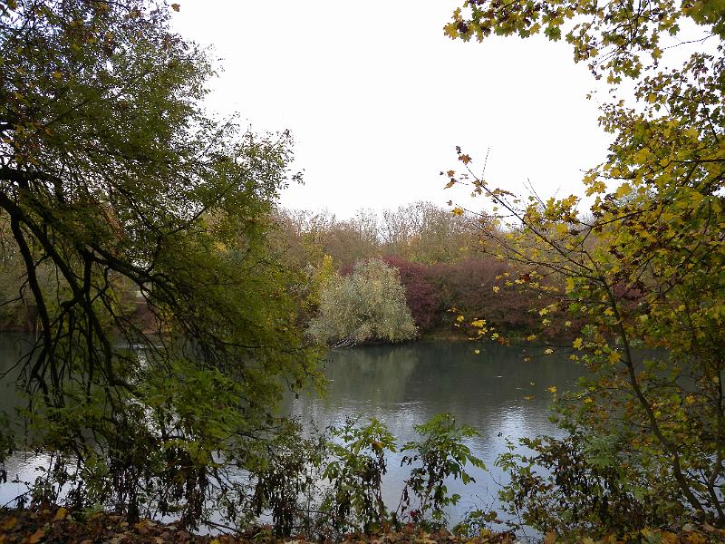 DSCN7122.JPG