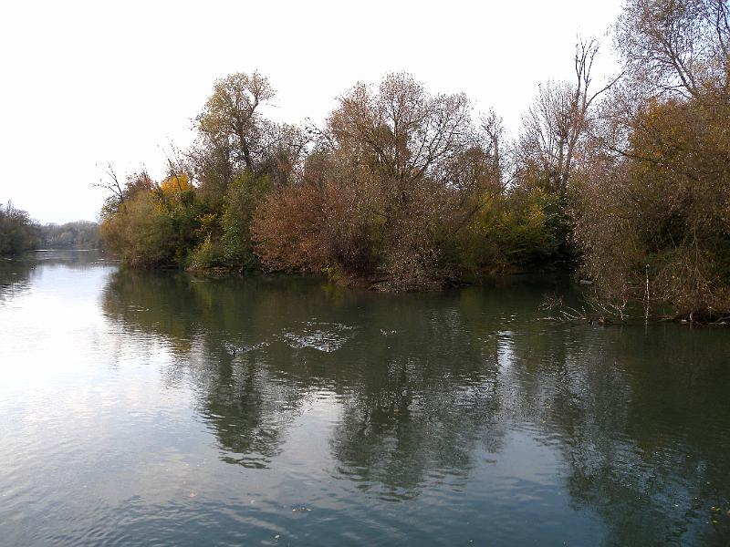 DSCN7124.JPG