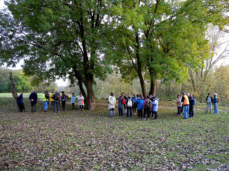 DSCN7125.JPG