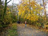 DSCN7119