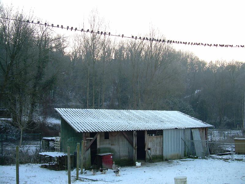 DSCN3092.JPG