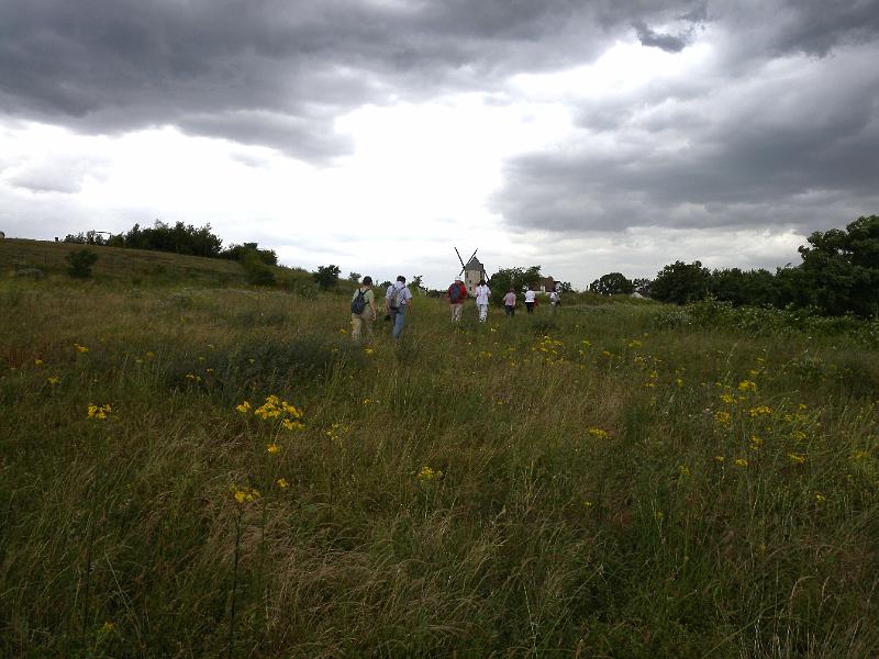 DSCN5152.JPG