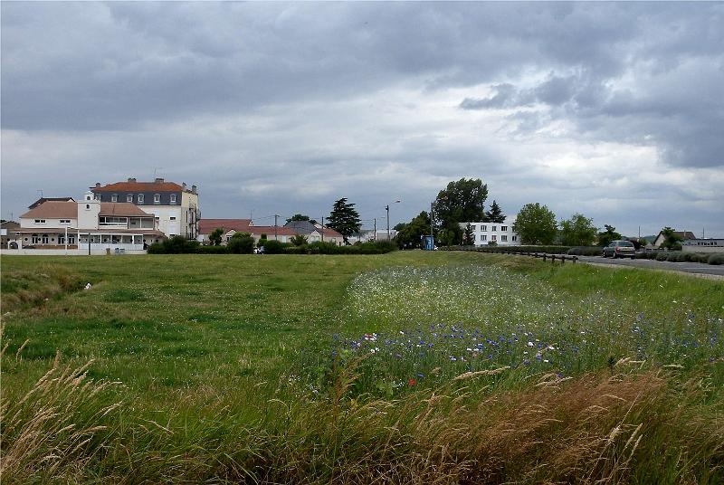 DSCN5160.JPG