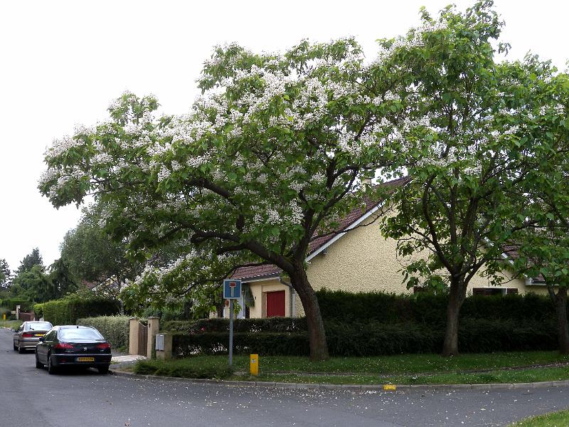 DSCN5164.JPG