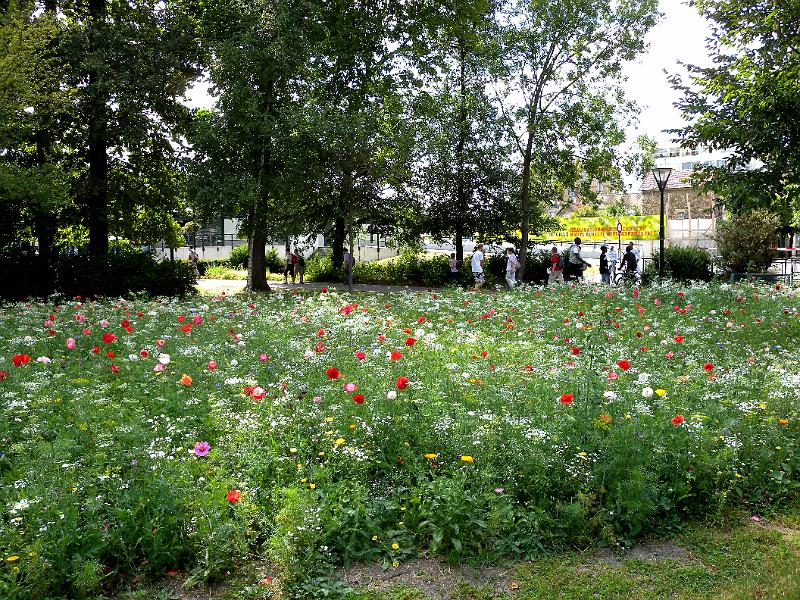DSCN5170.JPG