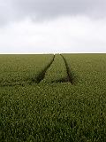 DSCN4667