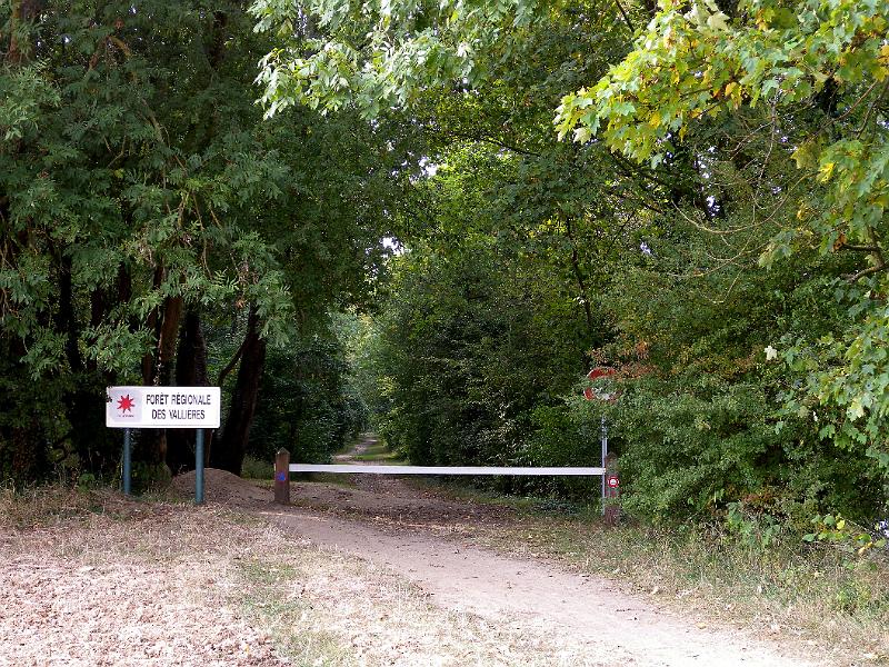 DSCN6630.JPG