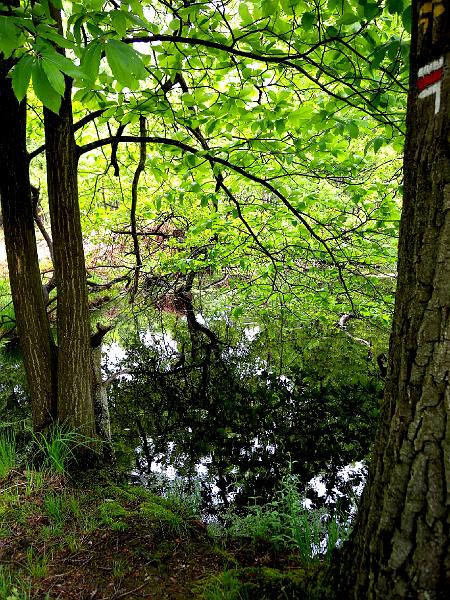 DSCN3790.jpg