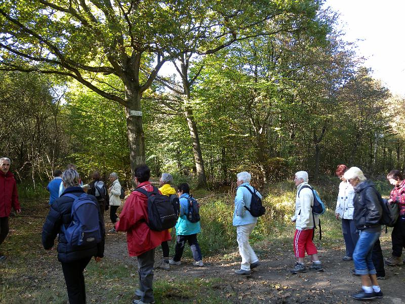 DSCN6945.JPG