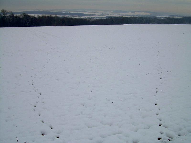DSCN3286.JPG