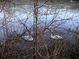 PICT0123