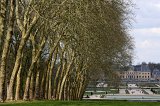 IMG_0519