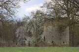 IMG_0535