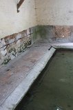 IMG_0545