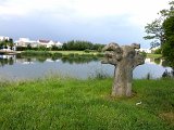 DSCN5091