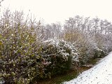 DSCN8466