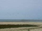 DSCN0337