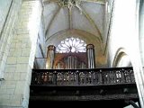 DSCN0420