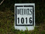 P1040981
