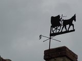 DSCN0516