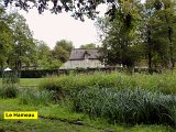 DSCN6559