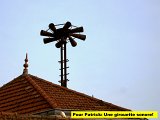 DSCN9241