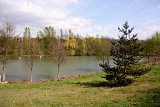 IMG_8699