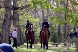IMG_8701