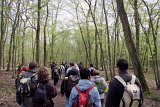 IMG_8707