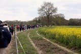 IMG_8731
