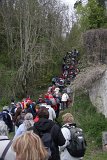 IMG_8758