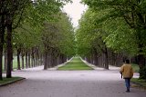 IMG_8771