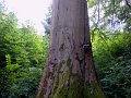 DSCN0175