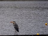 DSCN0099