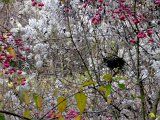 DSCN0182
