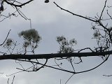 P1300834