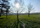 DSCN8632