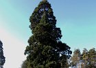 DSCN8638