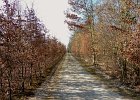 DSCN8655
