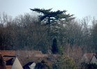 DSCN8676
