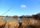 DSCN8679