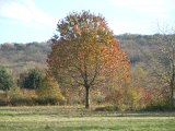 DSCN5377