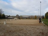DSCN5381